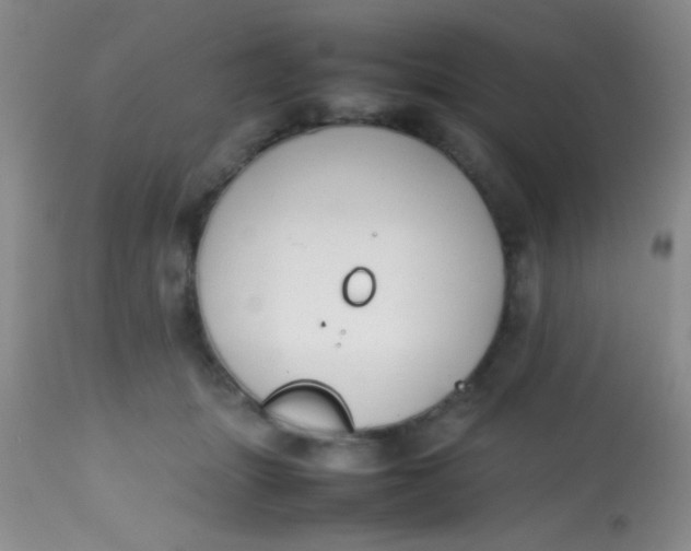 X0000113870463200910151305