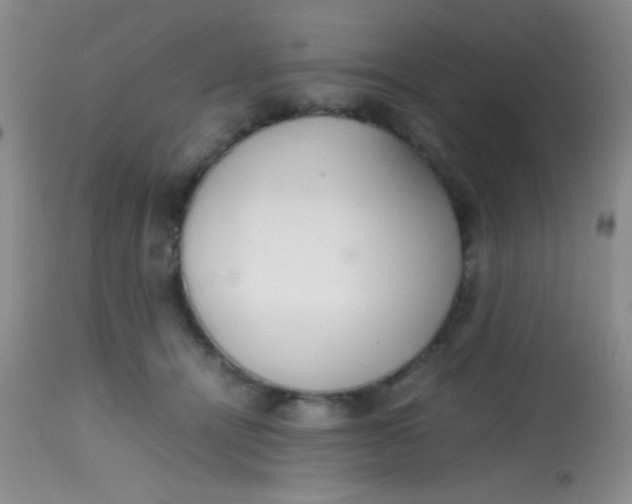 X0000113870464200910151305