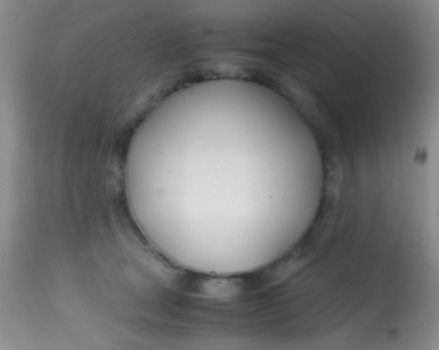 X0000113870465200910151305