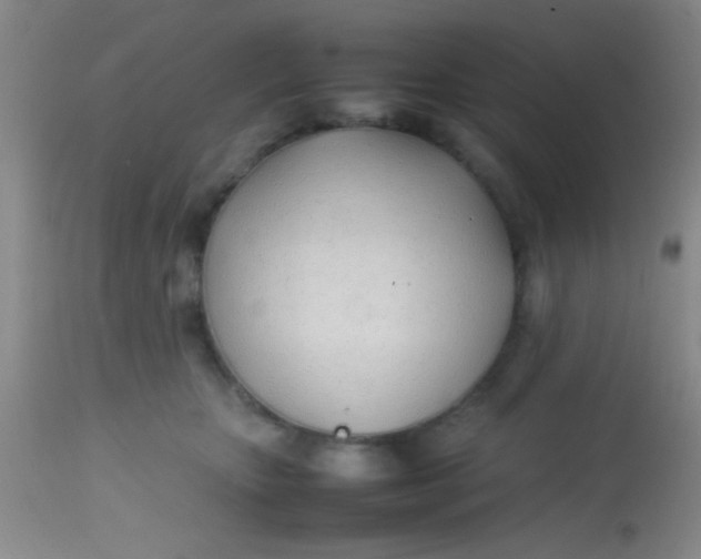 X0000113870467200910151305