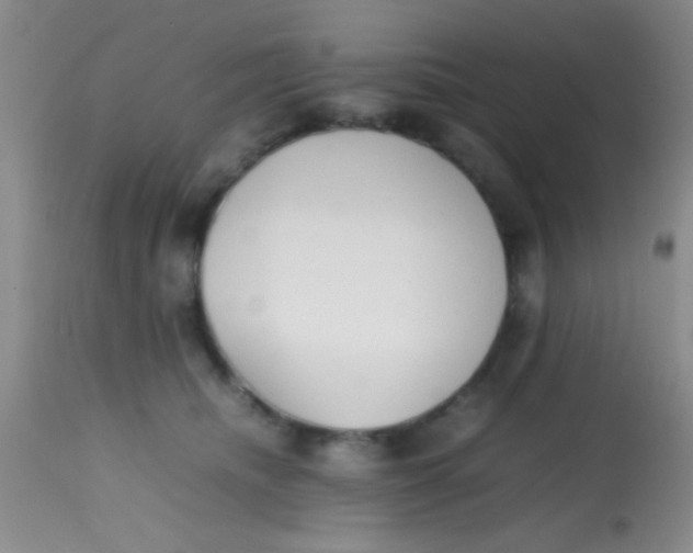 X0000113870468200910151305