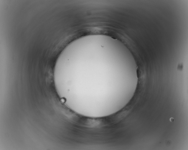 X0000113870469200910151305