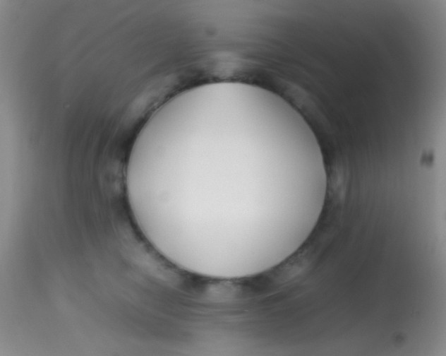 X0000113870470200910151305