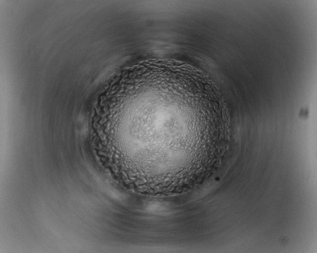 X0000113870471200910151305