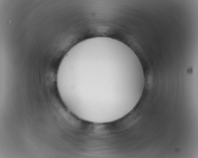 X0000113870472200910151305