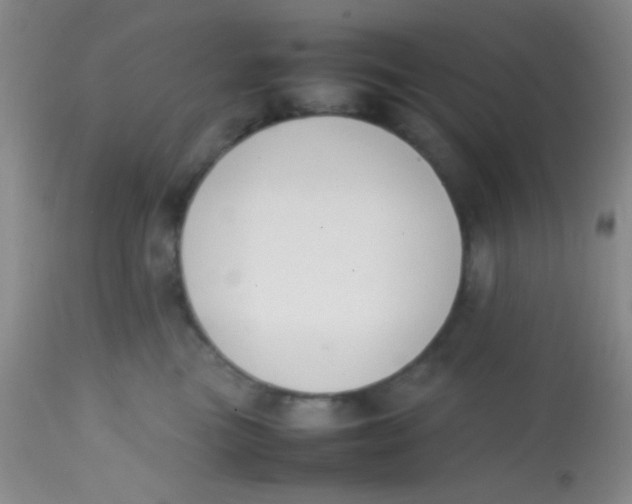 X0000113870473200910151305