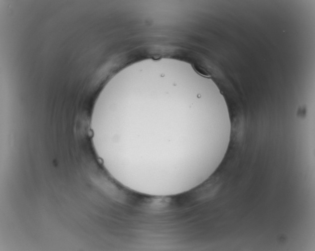 X0000113870474200910151305