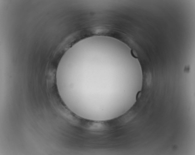 X0000113870475200910151305