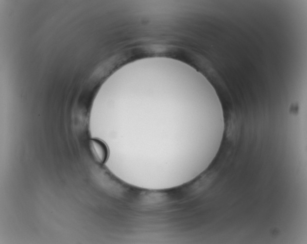 X0000113870476200910151305