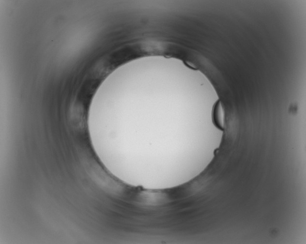 X0000113870477200910151305