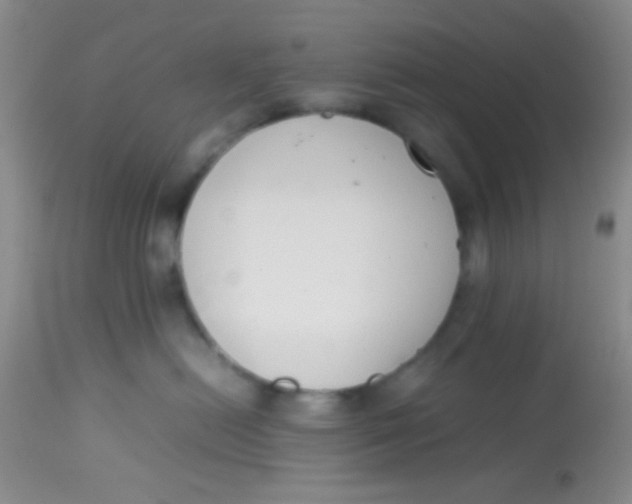 X0000113870478200910151305