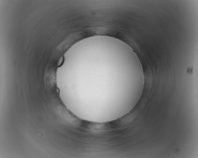 X0000113870479200910151305