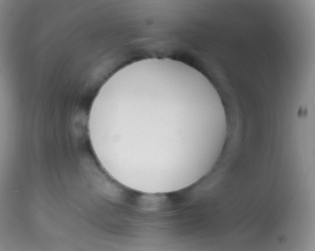 X0000113870480200910151305