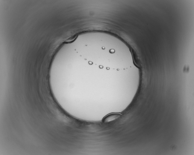 X0000113870481200910151305