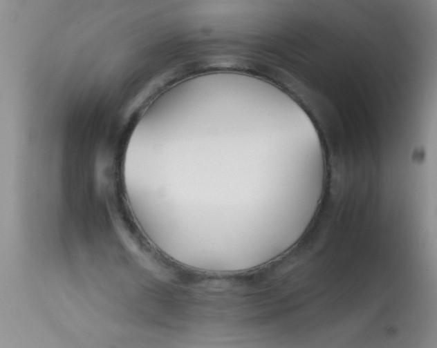 X0000113870482200910151305