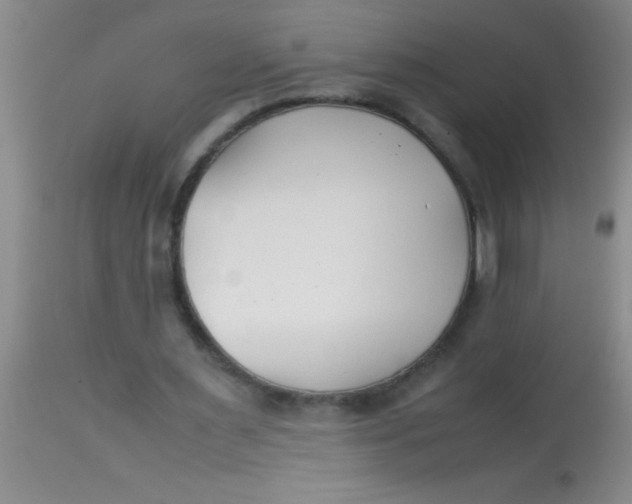 X0000113870483200910151305