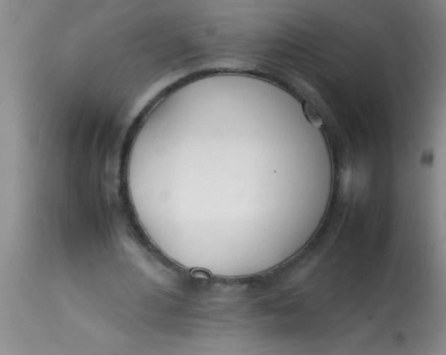 X0000113870484200910151305