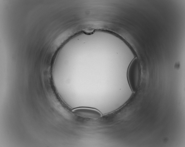 X0000113870485200910151305