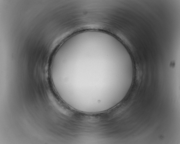 X0000113870486200910151305