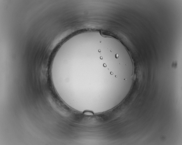 X0000113870488200910151305