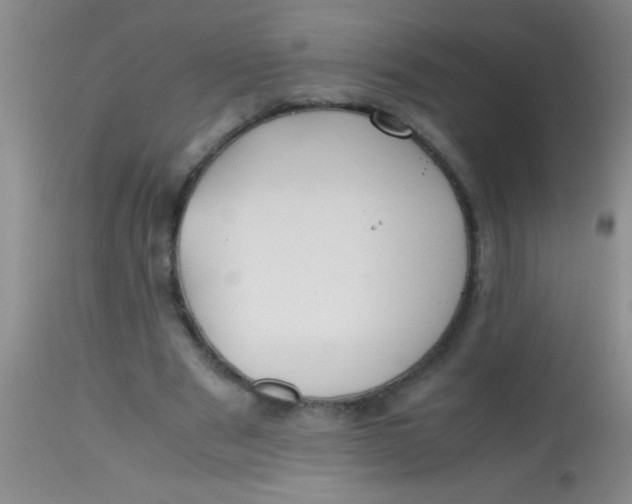 X0000113870489200910151305