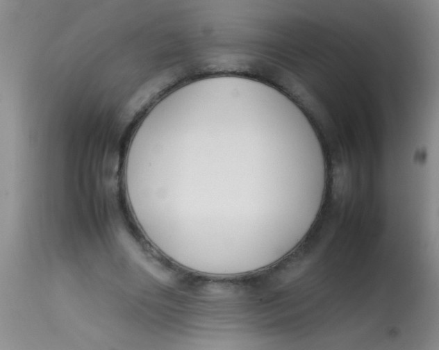 X0000113870490200910151305