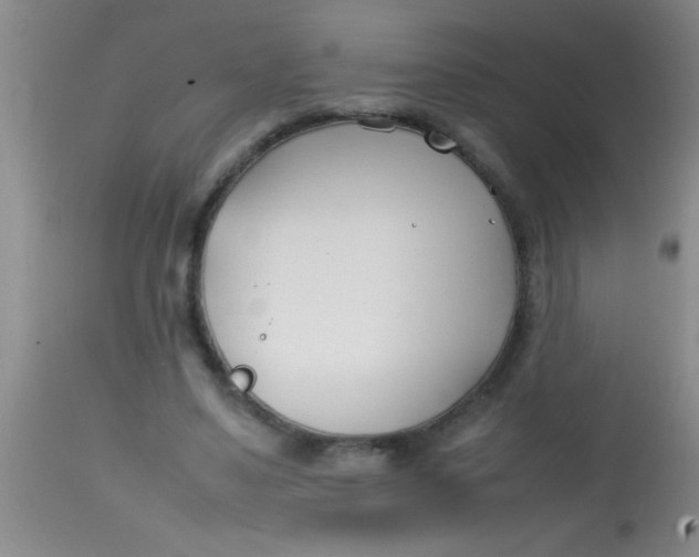 X0000113870491200910151305