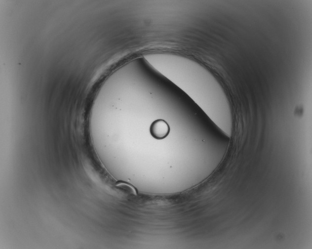 X0000113870492200910151305