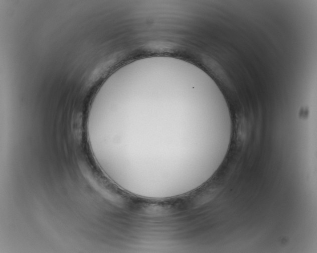 X0000113870494200910151305