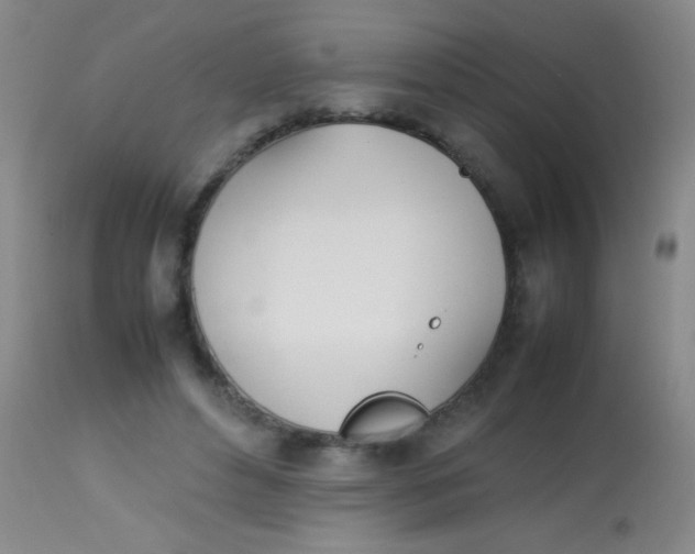 X0000113870496200910151305