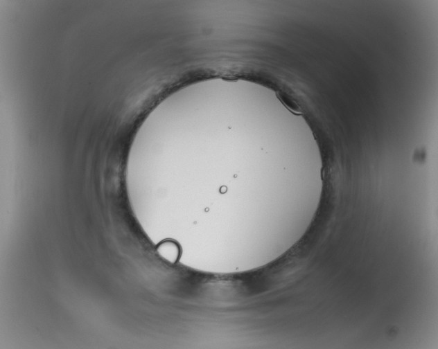 X0000113870499200910151305