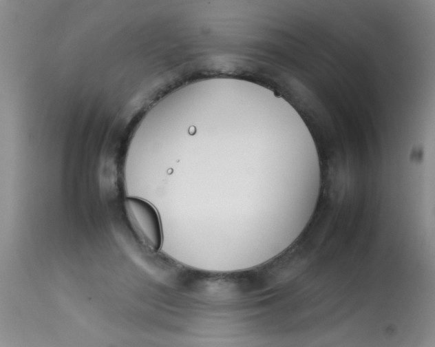 X0000113870500200910151305