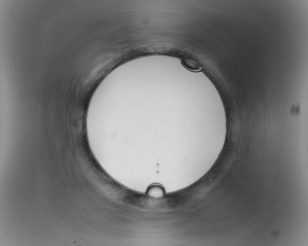 X0000113870501200910151305