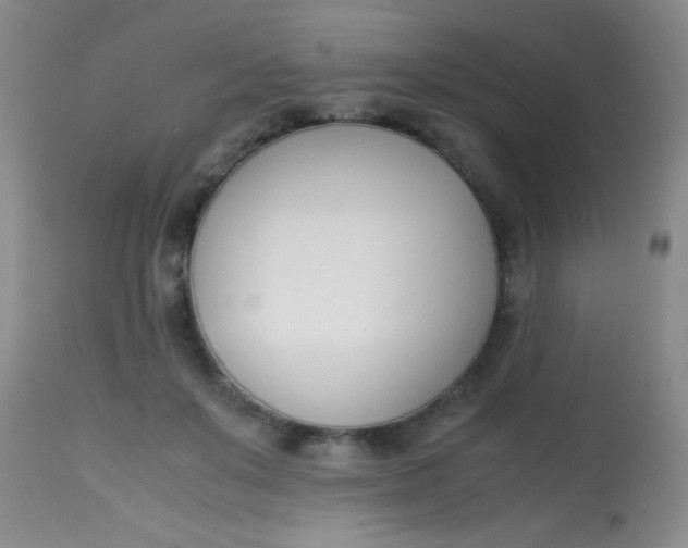 X0000113870503200910151304