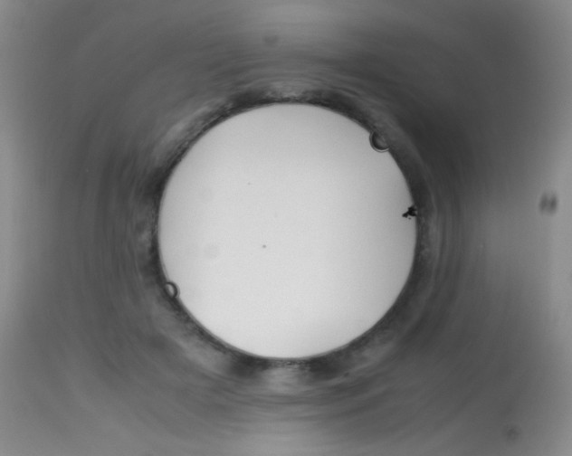 X0000113870505200910151304