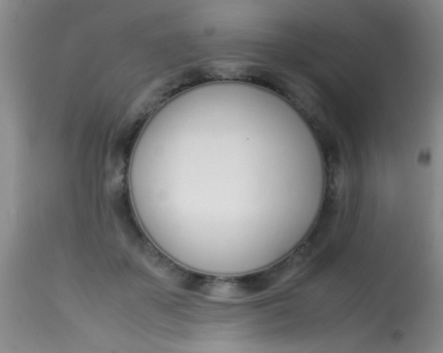 X0000113870507200910151304