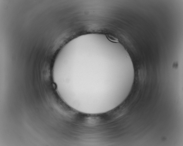 X0000113870508200910151304