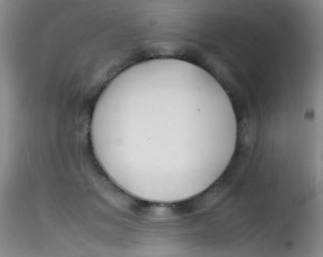 X0000113870509200910151304