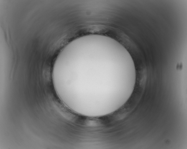 X0000113870510200910151304