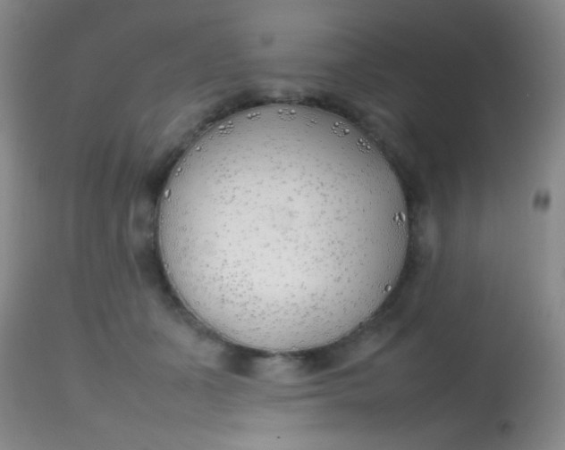 X0000113870511200910151304