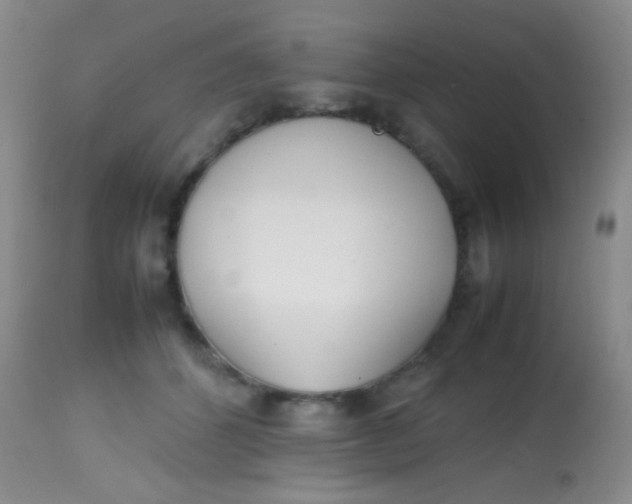 X0000113870512200910151304