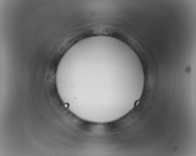 X0000113870513200910151304