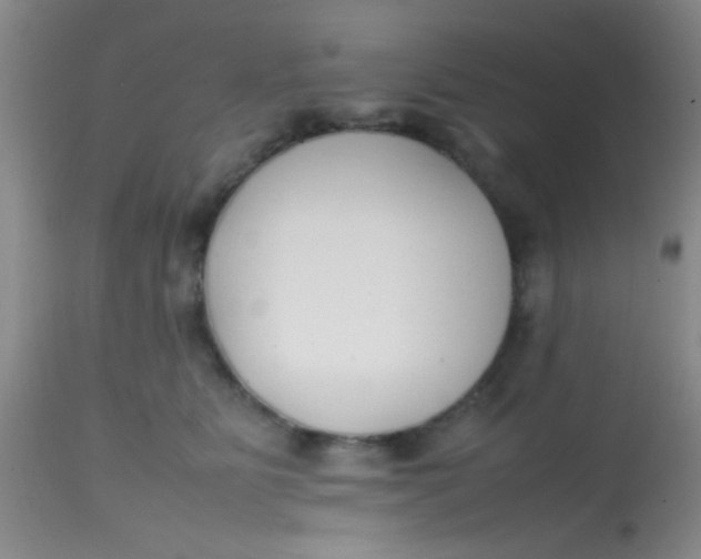 X0000113870515200910151304