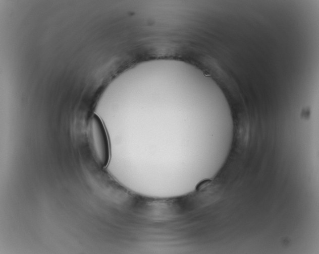 X0000113870516200910151304