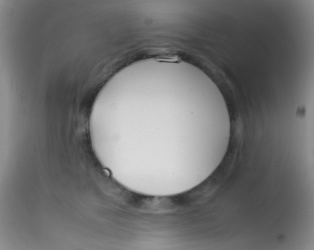 X0000113870517200910151304