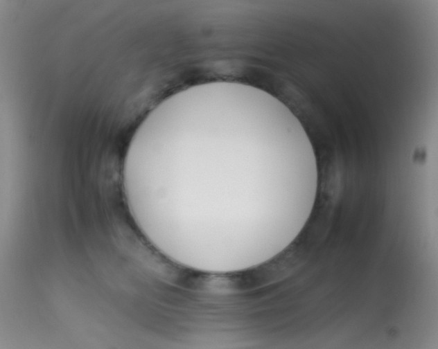 X0000113870518200910151304