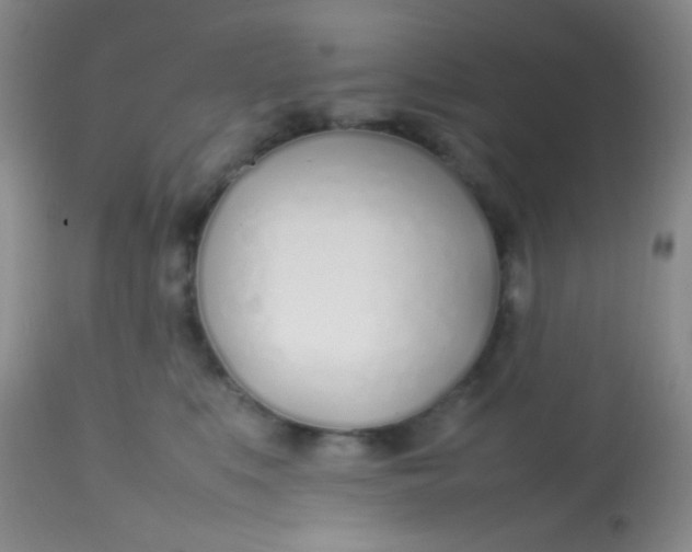 X0000113870519200910151304