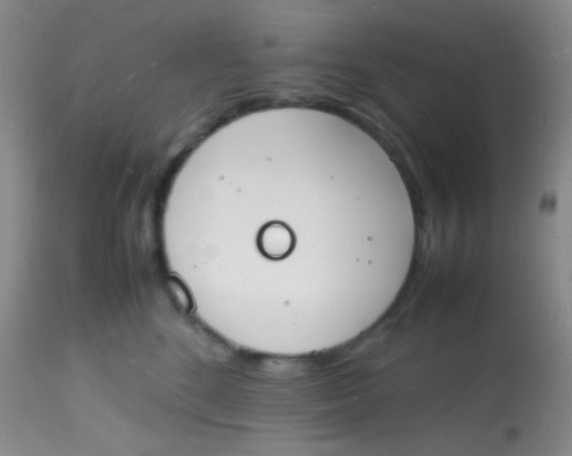 X0000113870520200910151304