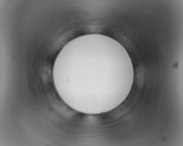 X0000113870522200910151304