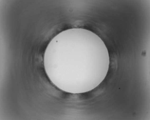 X0000113870523200910151304